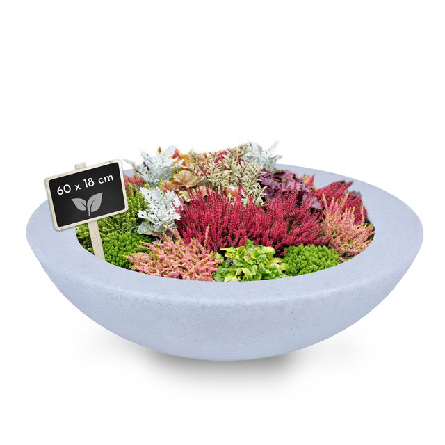 Pflanzschale aus Kunststoff, 60 cm, hellgrau, Blumenschale, Zierteich